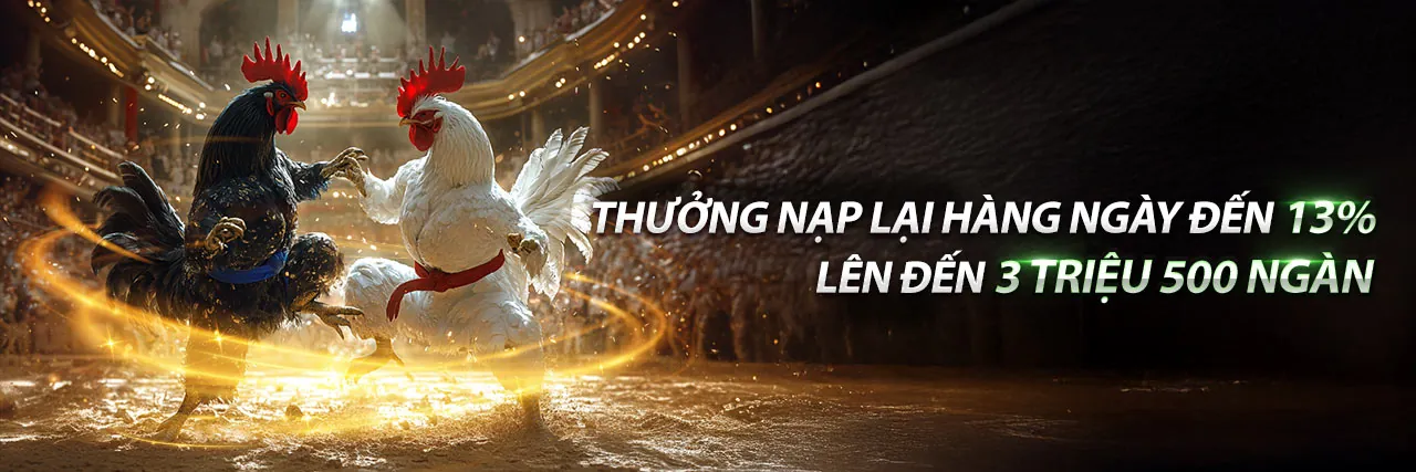 Đội ngũ chuyên nghiệp của vz888