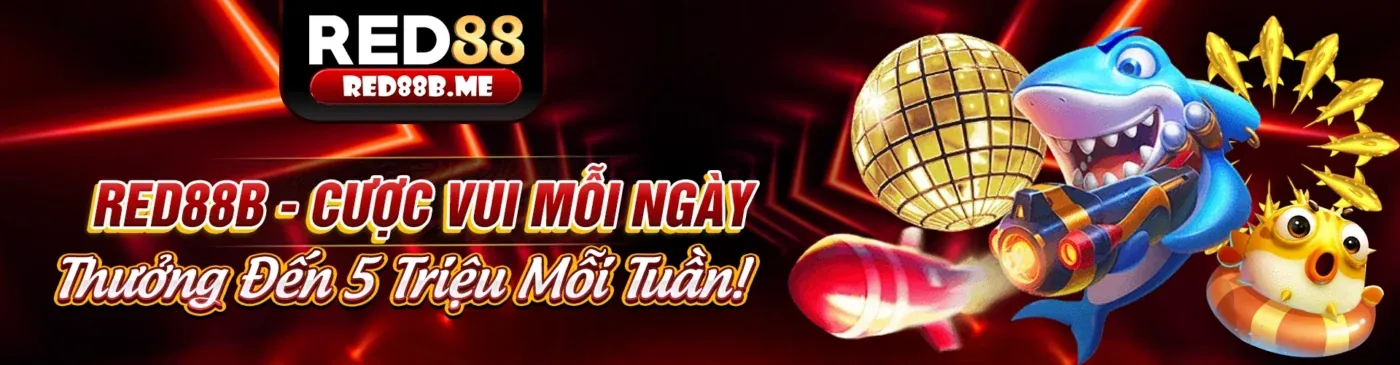 Giới thiệu về nền tảng cá cược trực tuyến VZ888